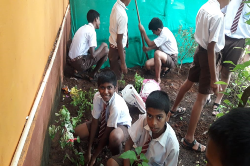 Celebration of Vanamohtsav . Tree Plantation 2019